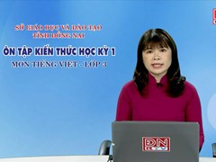Ôn tập kiến thức HK1- Môn Tiếng Việt - lớp 3 (16-03-2020) 